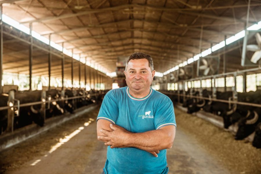 Settore cura bestiame