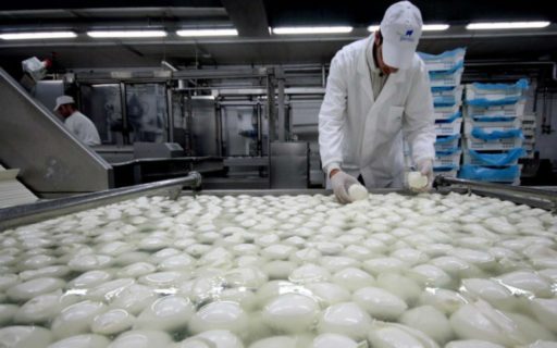 Mozzarella di bufala Campana DOP, produzione in aumento sul 2019