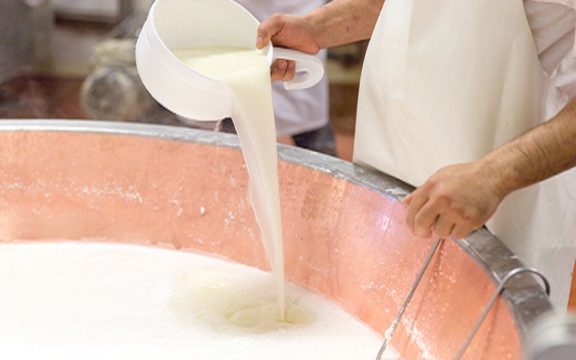 Mozzarella di bufala Campana DOP, produzione in aumento sul 2019 | Fattorie Garofalo