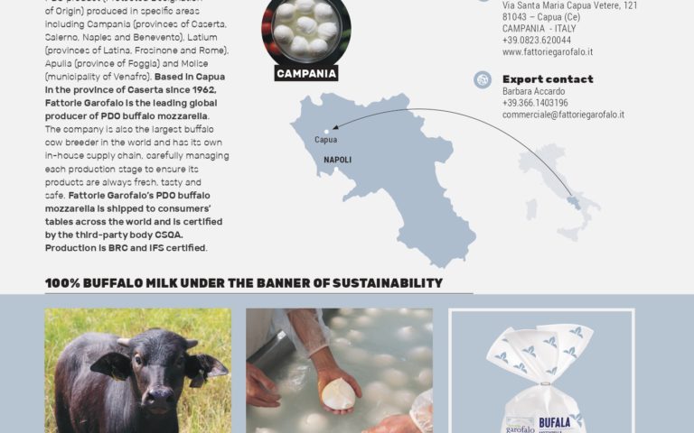 L’importanza delle origini e l’export: il contributo allo speciale Terroir di Italian Food