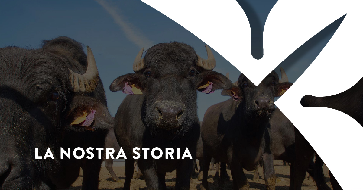 Az. agricola Fattoria Apulia - FATTORIE GAROFALO — foto 4