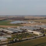 Fattorie Garofalo e xFarm Technologies insieme per una filiera bufalina digitale e sostenibile