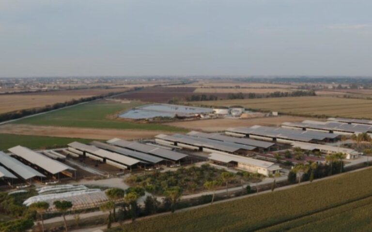 Fattorie Garofalo e xFarm Technologies insieme per una filiera bufalina digitale e sostenibile